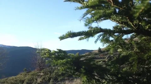 Panoramic Mountain View Peaks Snow Crane Motion Snow Video stock 69834253