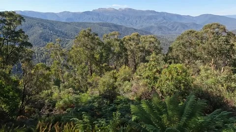Panoramic Mountain View from Scammells Ridge Lookout in Kosciuszko National.. Stock Footage 312062745