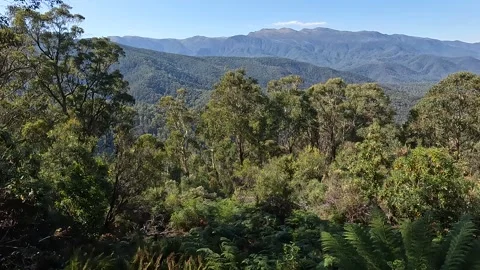 Panoramic Mountain View from Scammells Ridge Lookout in Kosciuszko National.. Stock Footage 312062774