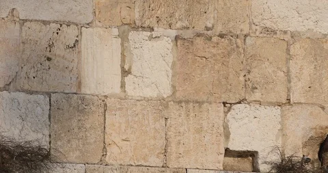 Panoramic move of closeup the Wailing Wall Stock Footage 105005979
