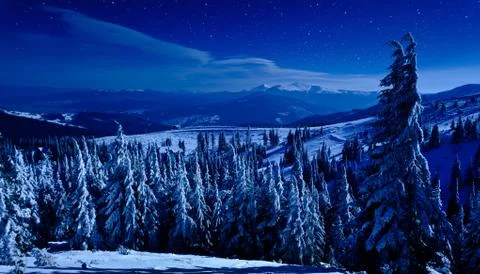 Panoramic night view of winter deep forest, mountains and small house Stock Photos