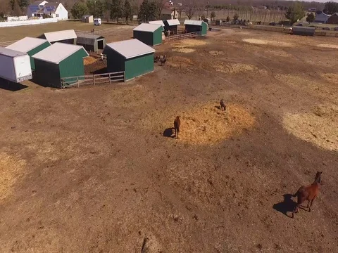 Panoramic over Horse Farm Stock Footage 81798053