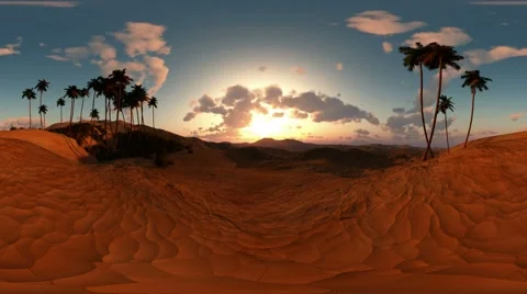 Panoramic of palms in desert at sunset. made with the one 360 degree lense Video stock 67358836