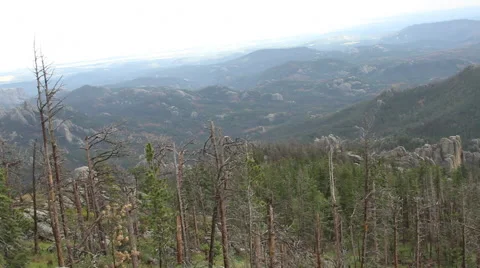 Panoramic pan of the Black Hills from its highest peak Stock Footage 40559600