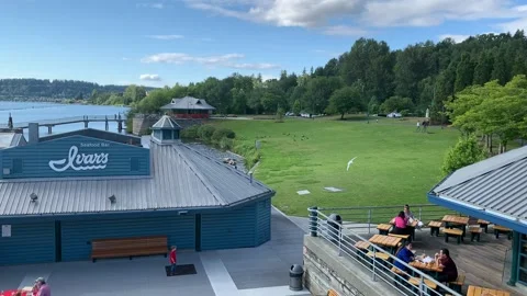 Panoramic of a Park in Washington Vídeos de archivo 134843788