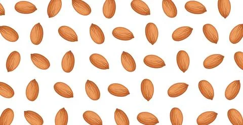 Panoramic pattern of roasted almonds on a white background - Vector Stock Illustration