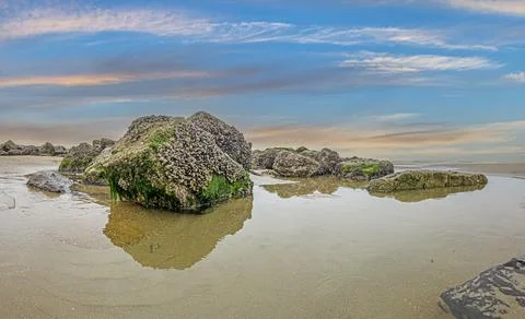 Panoramic picture of rocks during low tide on North Sea coast of Belgium Stock Photos