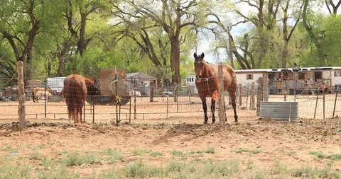 Panoramic of a Remote Ranch Stock Footage 107453867