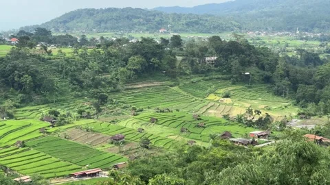 Panoramic Rice Terrace and Mountain Valley Vídeo Stock 342625524