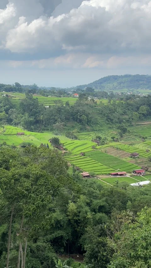 Panoramic Rice Terrace and Mountain Valley 스톡 동영상 342625525