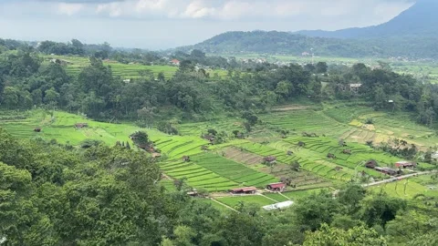 Panoramic Rice Terrace and Mountain Valley Vídeo Stock 342625530