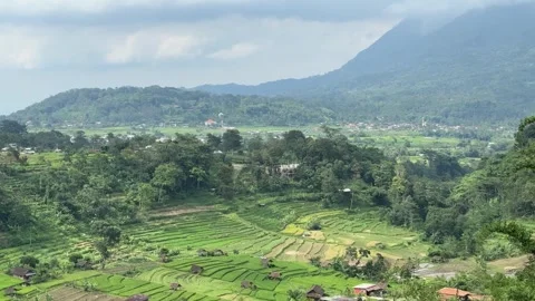 Panoramic Rice Terrace and Mountain Valley Vídeo Stock 342625538