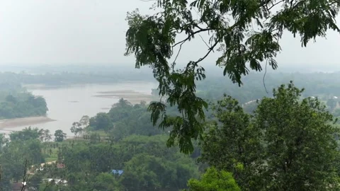 Panoramic river valley framed by lush green forest canopy Vidéo 337926846