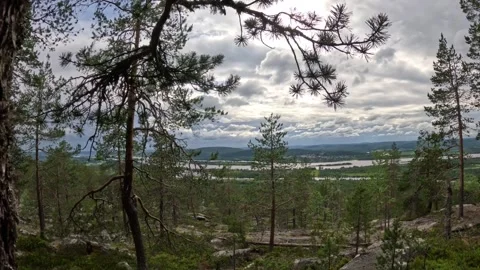 Panoramic river view framed by pine tree branches on Aavasaksa hill Lapland Stock-Footage 340653413