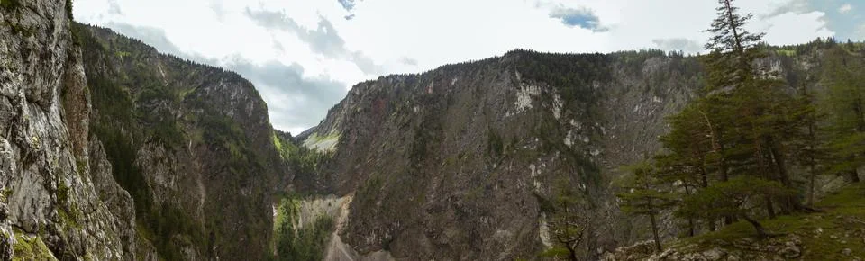 Panoramic Rugged Limestone Cliffs and Deep Forested Mountain Valley Beneath.. Stock-Fotos