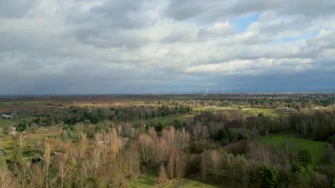 Panoramic Rural Landscape with Forest and Fields Stock Footage 314286645