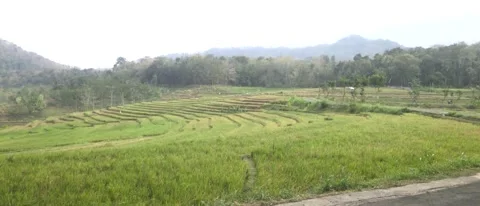 Panoramic Rural Rice Terraces and Road With Indonesian Flag at Hillside 스톡 동영상 343737103
