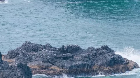 Panoramic sea stack views at Ecola State Park, Oregon, with forest hiking trails Stock Footage 309320198