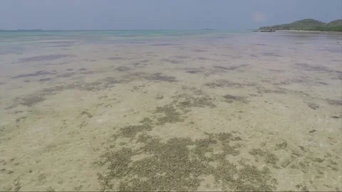 Panoramic sea view at low tide, Karimunjawa islands, Indonesia Stock Footage 160125358