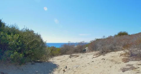Panoramic sea view at summer sunny day. Sea landscape. Stock Footage 82716505