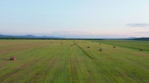 Panoramic shooting over the field from which the crop was harvested. Stock Footage 114122932