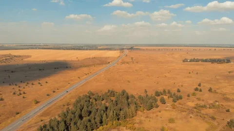 Panoramic shot above trees and yellow fields with asphalt highway road, aerial Stock Footage 95111054