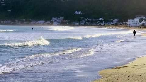 Panoramic Shot of Beach with Dog Playing and People Strolling Stock Footage 169495336