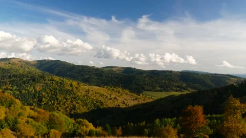 Panoramic shot of beautiful deciduous and pine forest at autumn Stock Footage 140925322