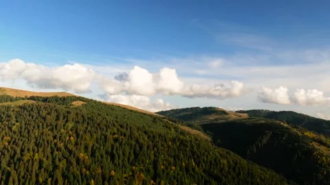 Panoramic shot of beautiful deciduous and pine forest at autumn Stock Footage 140925328