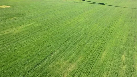 Panoramic shot from a bird's eye view of wind Video stock 233499332