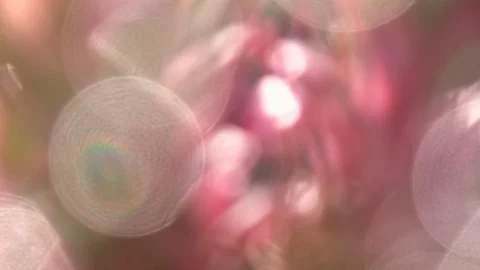 Panoramic shot of blur pink abstract scene with flecks of sunlight in slow-mo 動画素材 90449962