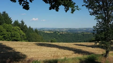Panoramic shot with a drone of the trees. Video stock 144164374