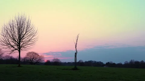 Panoramic Shot Of Early Spring Natural Parck in Swonly, East Kent of London Stock Footage 177669729