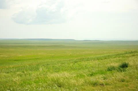 Panoramic shot of endless steppe lying in a fertile valley with mountains in Stock Photos