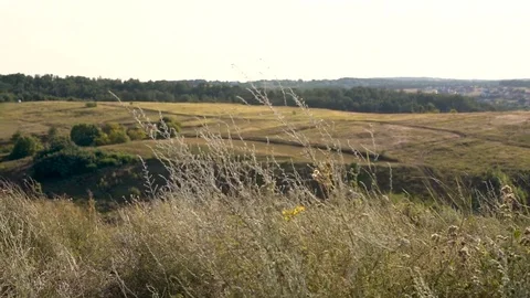 Panoramic shot of a field of grass Stock Footage 114600797
