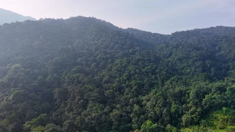 Panoramic shot of mountain forests 库存影片 339846304