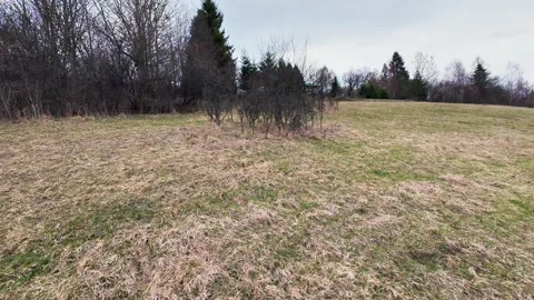 A panoramic shot of a mountain meadow with dry grass and bare trees 스톡 동영상 332156245