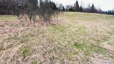 A panoramic shot of a mountain meadow with dry grass and bare trees 스톡 동영상 332156246