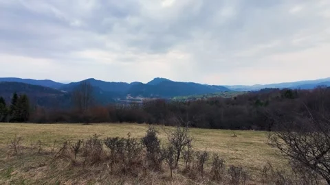 A panoramic shot of a mountain meadow with dry grass and bare trees 스톡 동영상 332156249