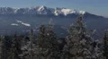 Panoramic Shot Pan Left Snow Capped Mountain Peak Conifer Forest Landscape Day HD Footage