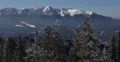 Panoramic Shot Pan Left Snow Capped Mountain Peak Conifer Forest Landscape Day 4k or 4k+ Resolution
