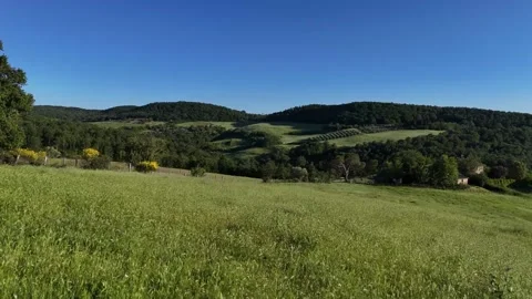 Panoramic Shot of Rolling Sunlit Meadows and Forest Hills Stock-Footage 346397826
