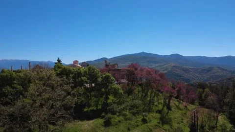 Panoramic shot of a stone hilltop castle hidden behind blooming trees Stock Footage 337046520