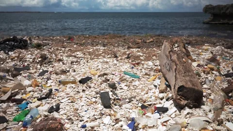 Panoramic shot of styrofoam plastic waste and black abandoned trash bags on the Stock Footage 245984598