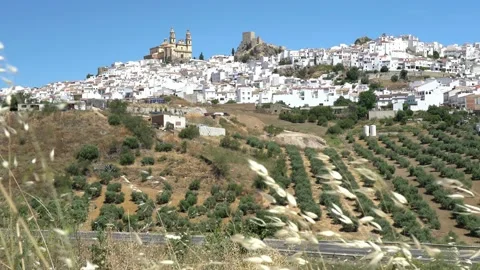 Panoramic sight in the beautiful Olvera, province of Cadiz, Andalusia, Spain. 스톡 동영상 160076753