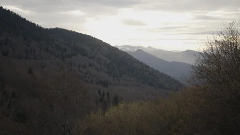 Panoramic of the snow-capped mountains and the forest in the middle of nature on Video stock 274901865