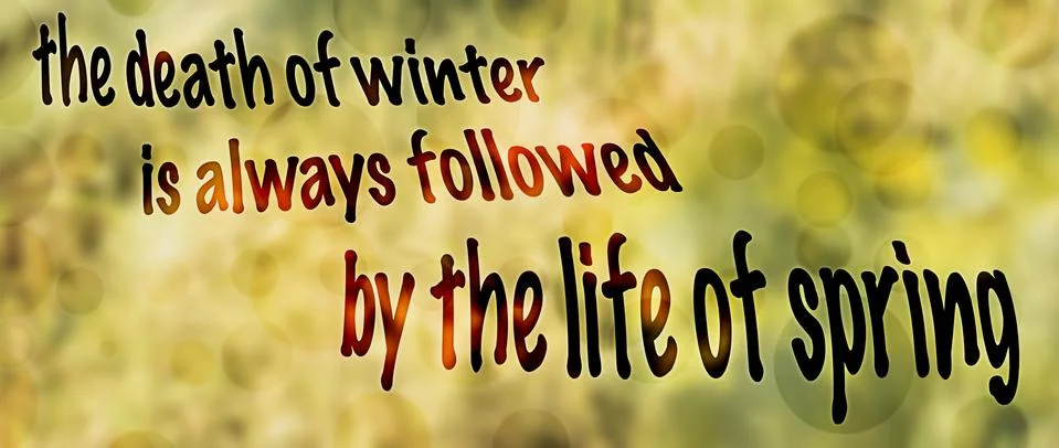 Panoramic spring background 스톡 사진