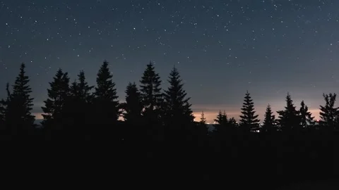 Panoramic Starry Night Sky with Moving Clouds and Stars Above Dark Forest Stock Footage 313237804