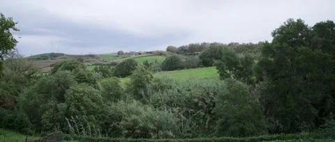 A panoramic, static shot of the lush green tea fields, tea plantation Stock Footage 319855784