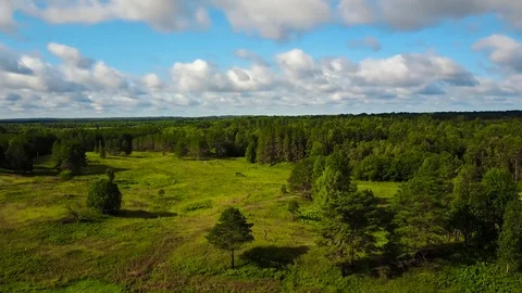 Panoramic summer landscape, forest. Aerial view Stock Footage 80131730